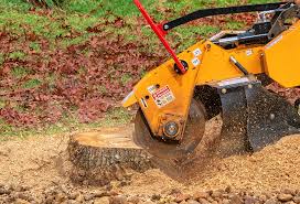 Best Weed Control  in Bellingham, WA