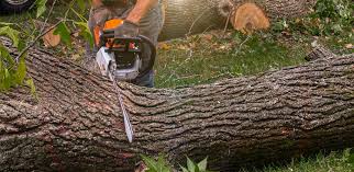 Soil Testing and Treatment in Bellingham, WA
